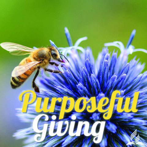 Live Generously, Give Purposefully - See Ways to Give!